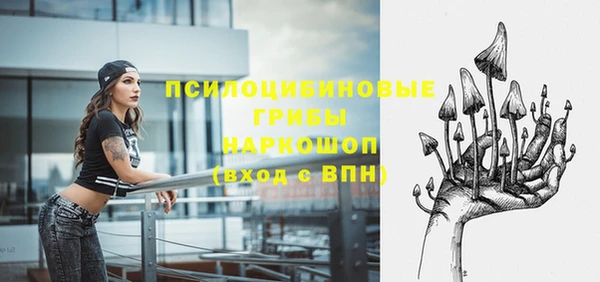 крисы Верхний Тагил