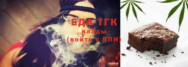 гидра Бородино