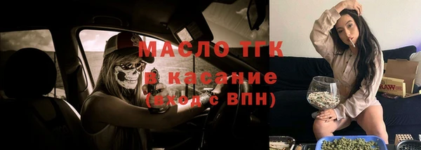 гидра Бородино