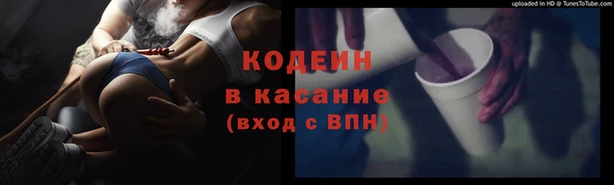 крисы Верхний Тагил