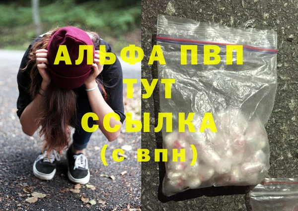 гидра Бородино