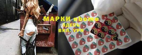 гидра Бородино